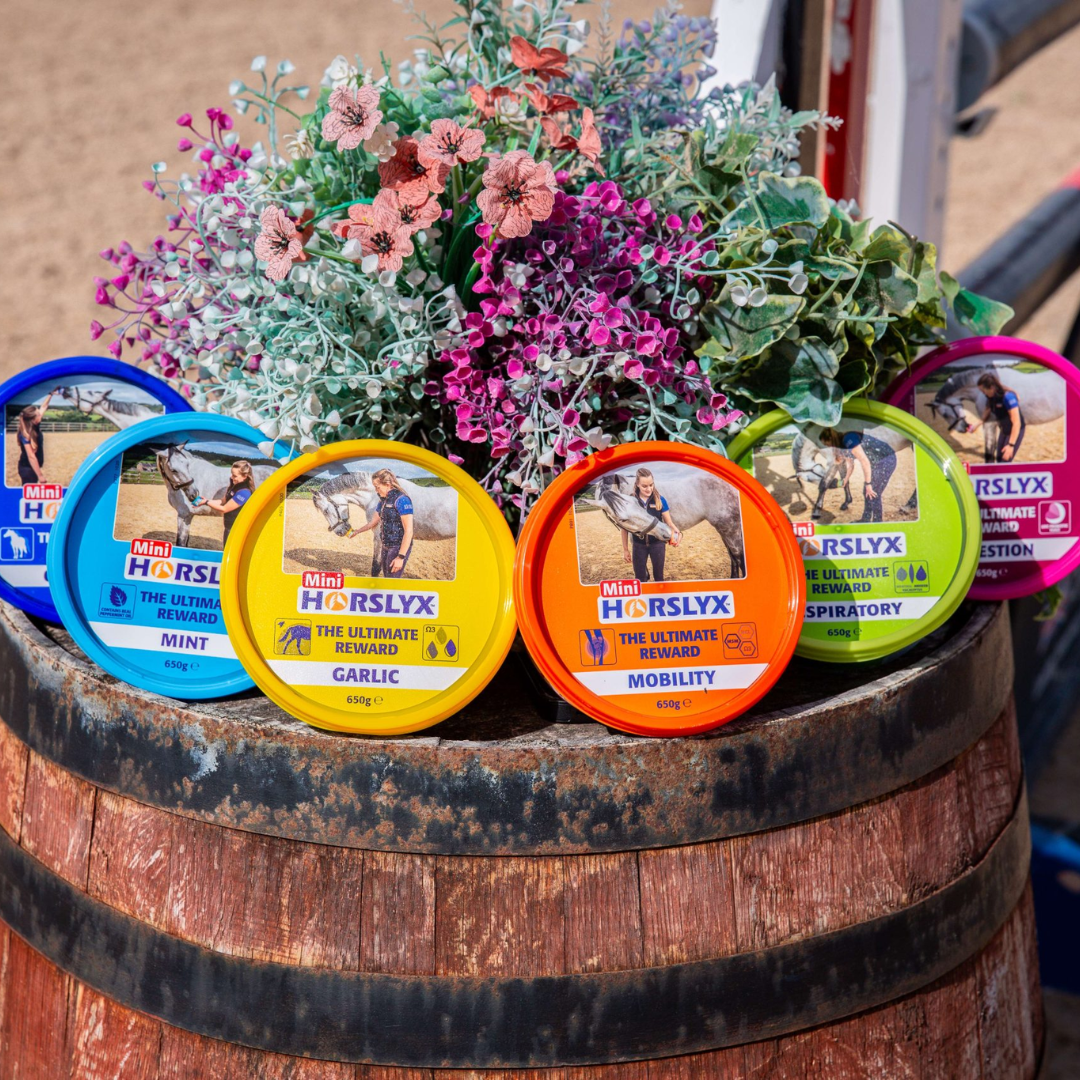 HORSLYX ALL mini.png