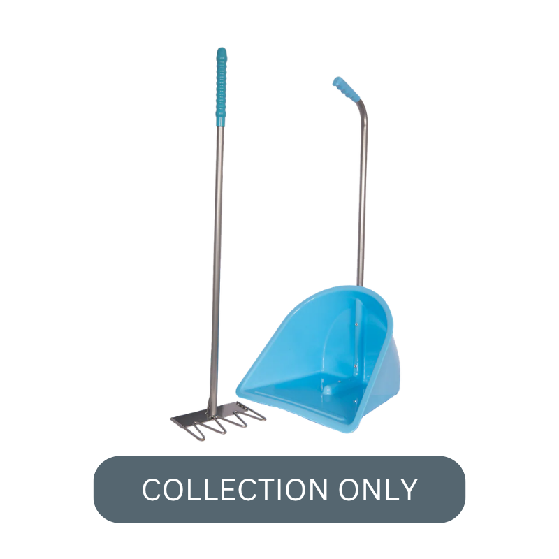 RG normal tidee sky blue.png