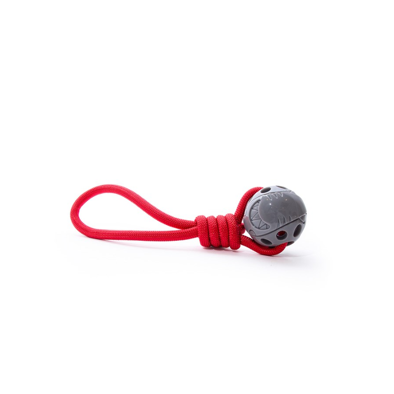 G & S shark with rope.png