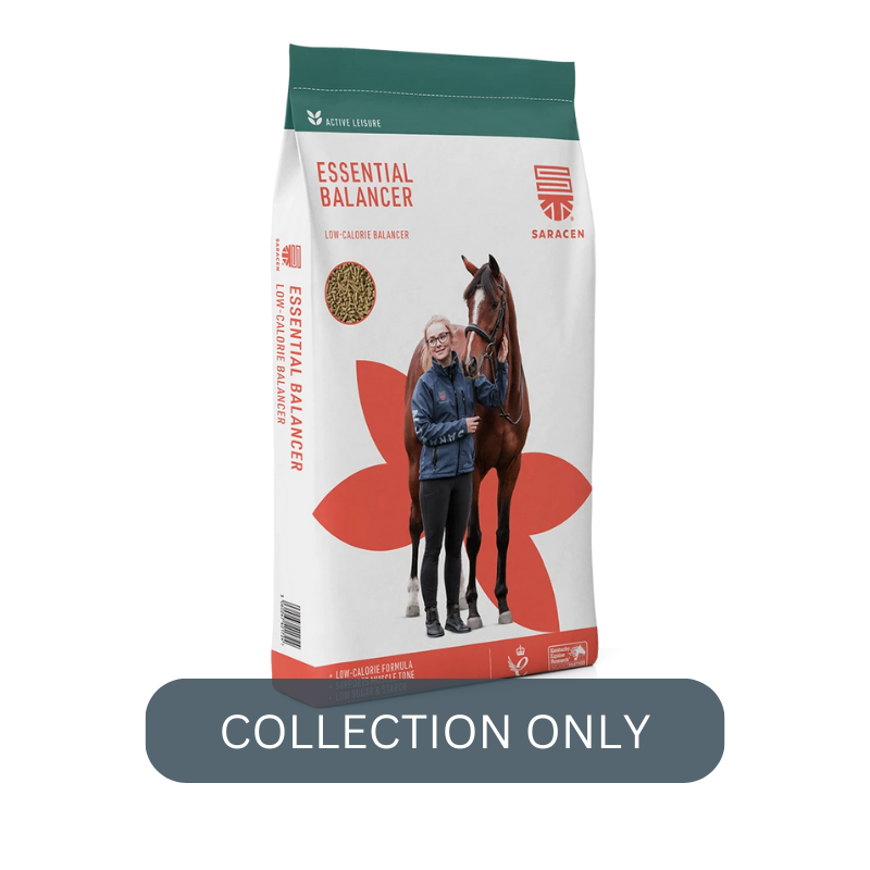 SARACEN Essential Balancer .png