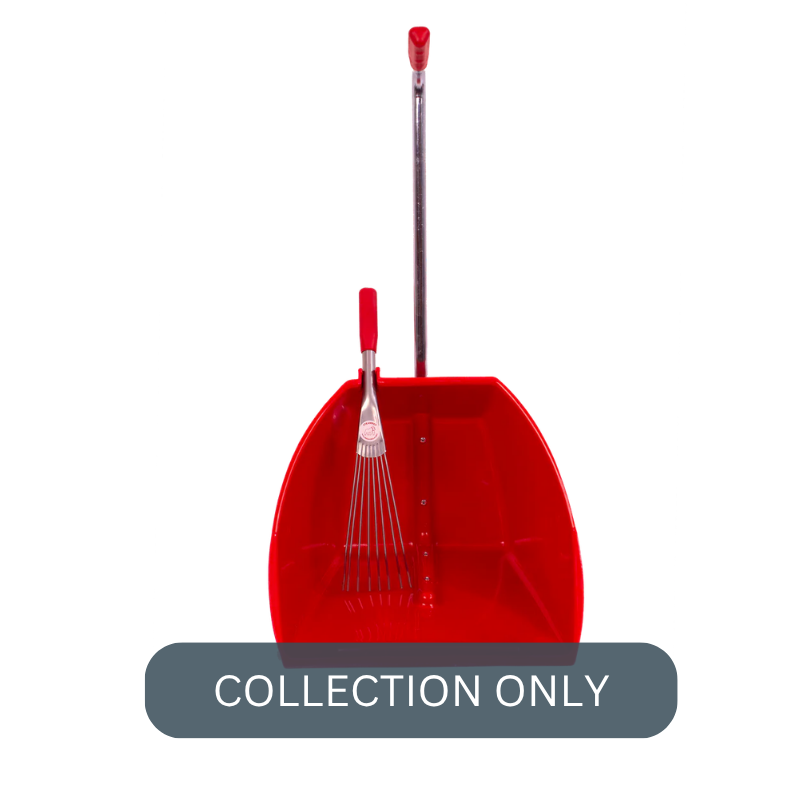 RG big tidee red (1).png
