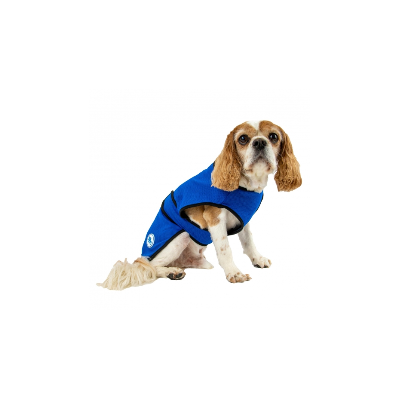 Ancol Ice Paws Cooling Coat