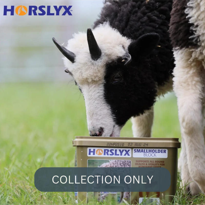 horslyx smallholder1.png