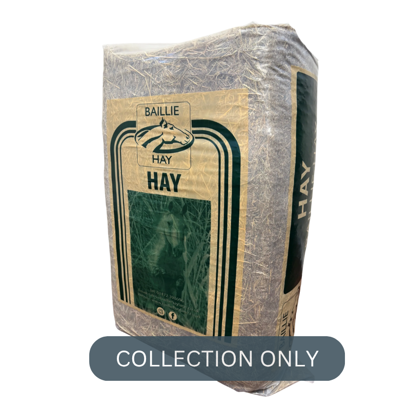 baillie hay (2).png
