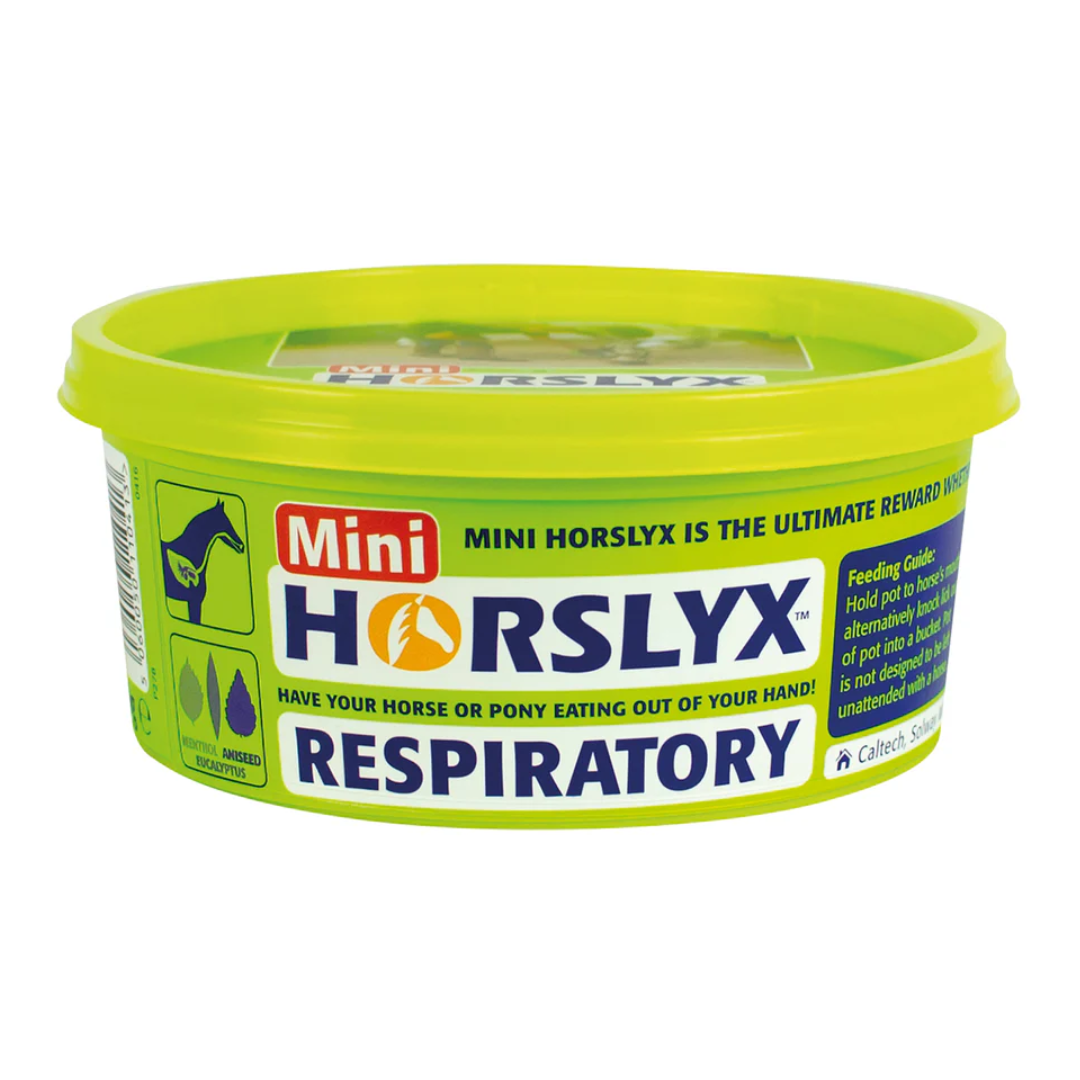 HORSLYX mini resp.png