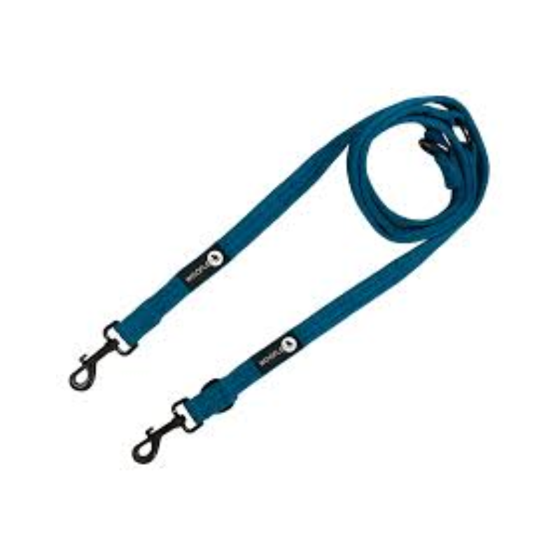 woofles one lead teal.png