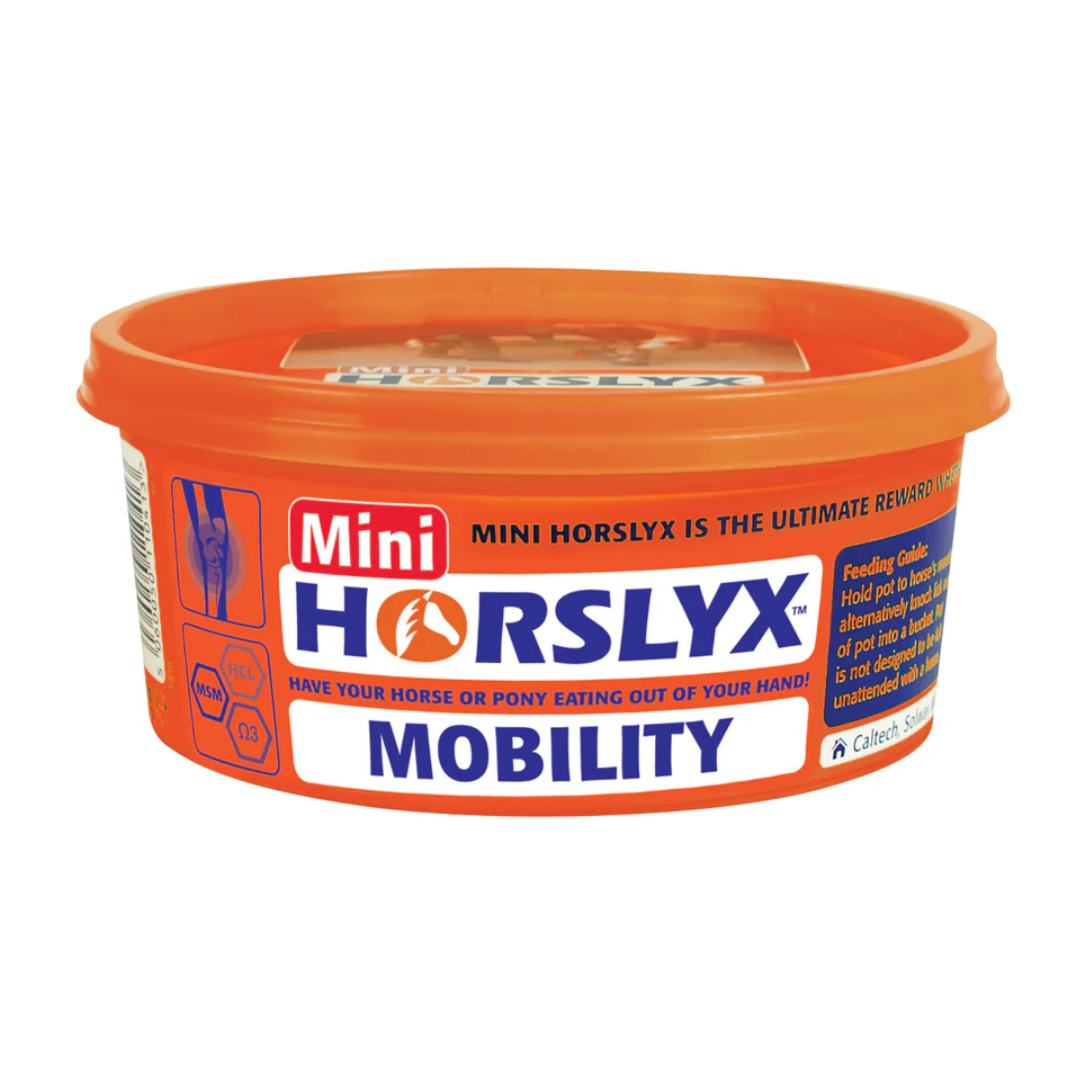 HORSLYX mini mobility.png