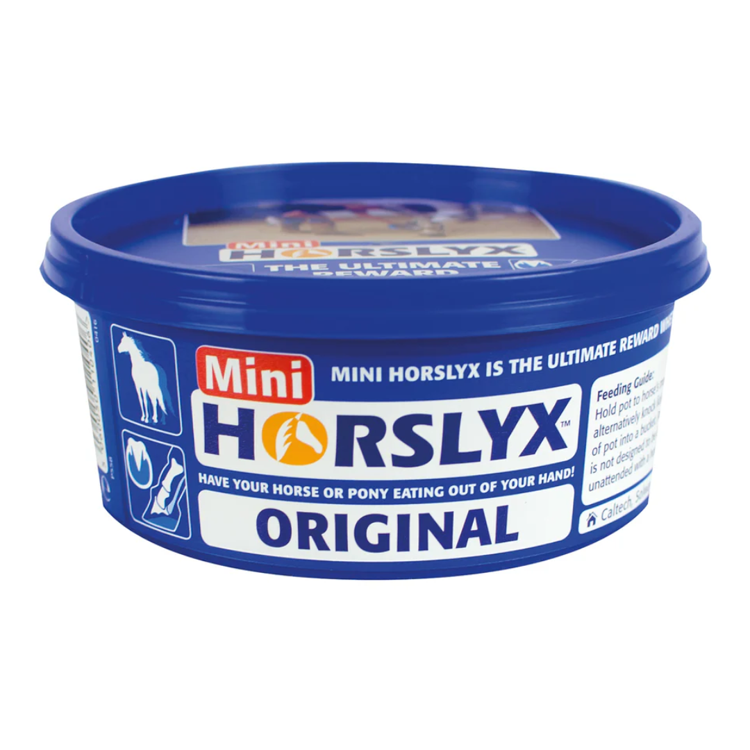 HORSLYX mini original.png