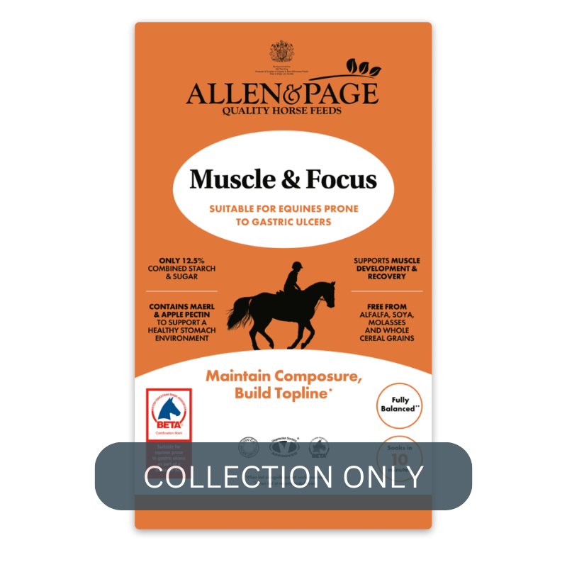 A&P muscle and focus.png