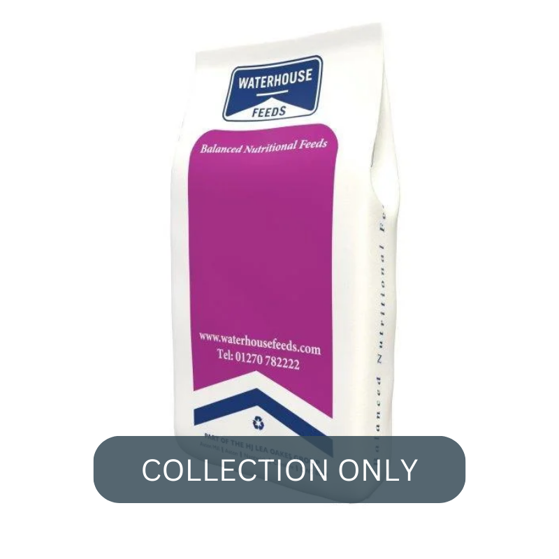 D&H Ostrich maintenance.png