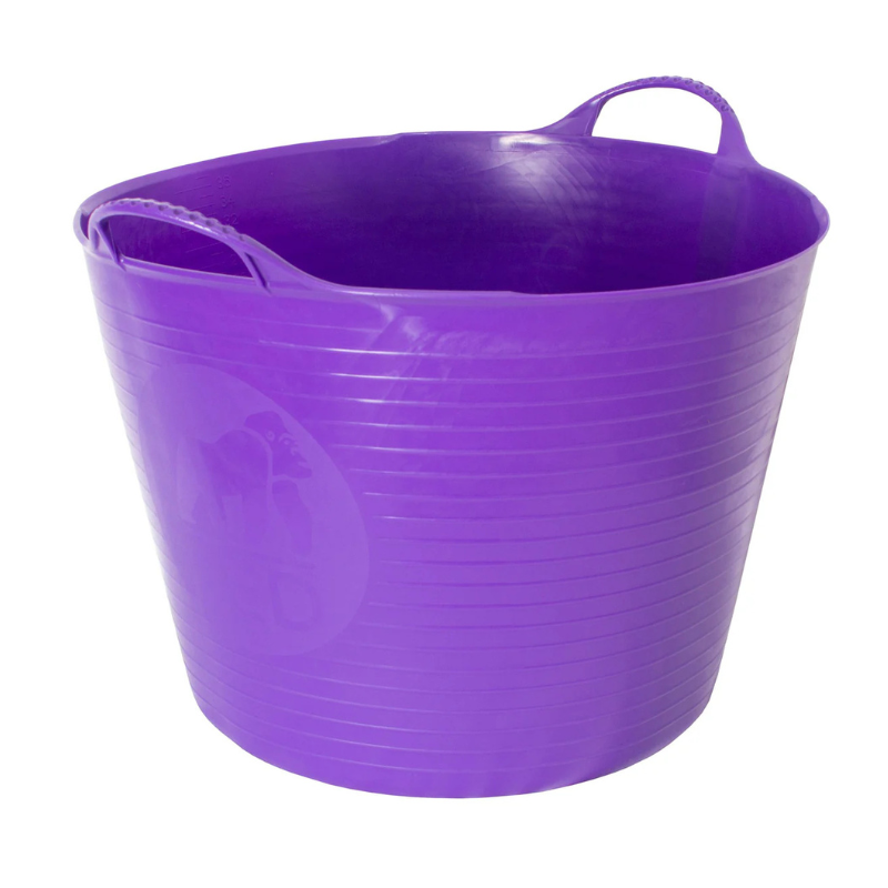 RG 38l purple.png
