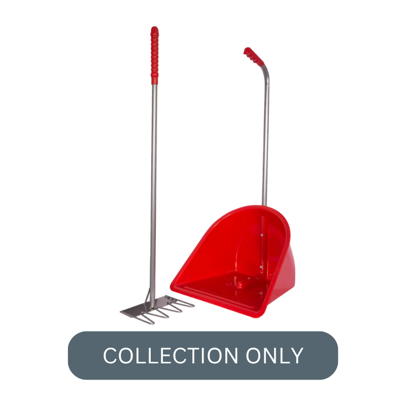 RG normal tidee red.png