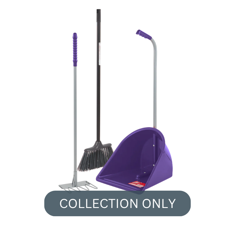 RG tidee companion pur.png