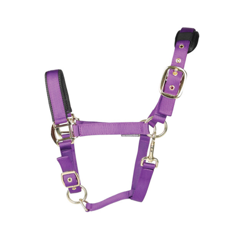 hy deluxe padded headcollar purple.png