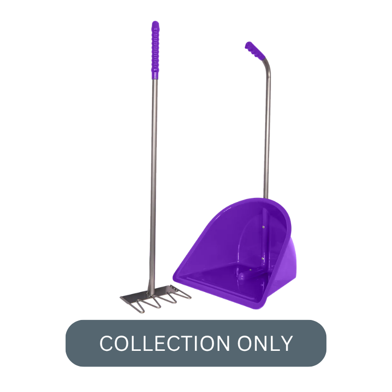 RG normal tidee pur.png