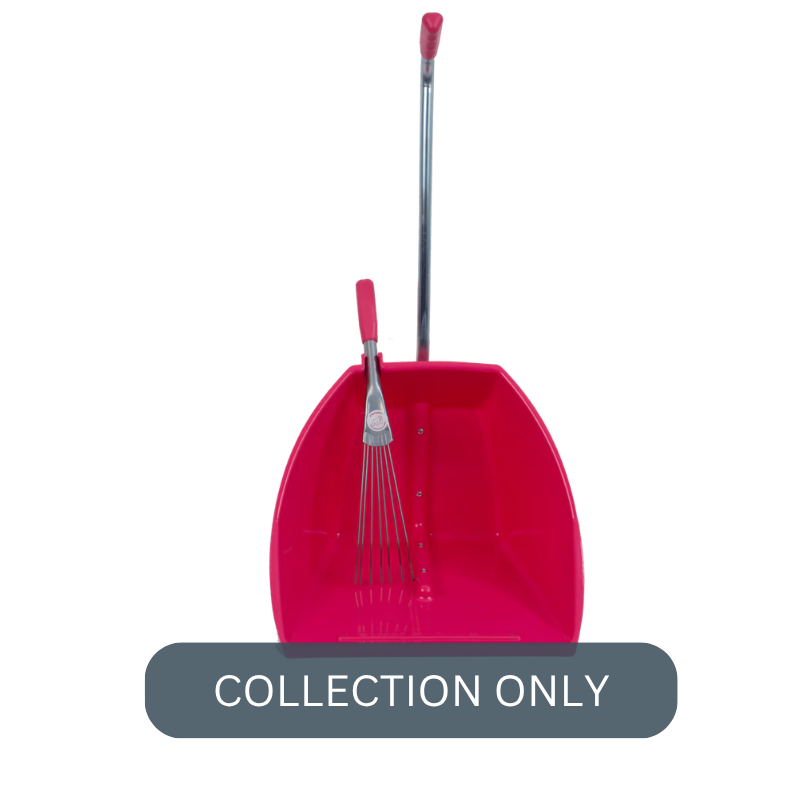 RG big tidee pink.png