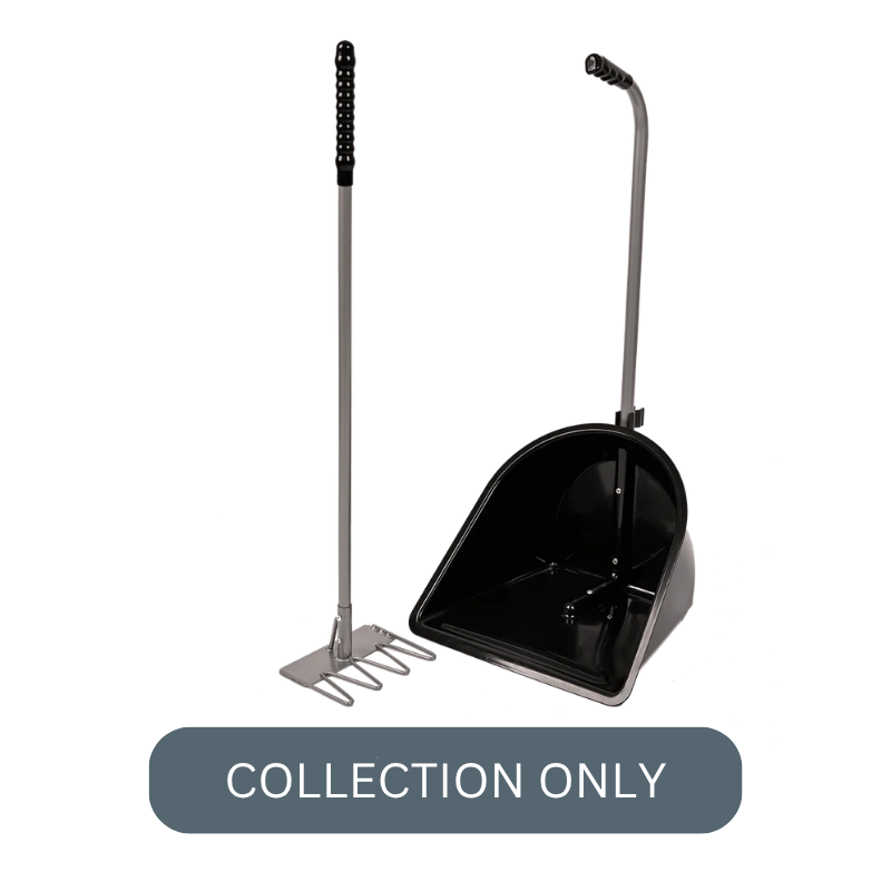 RG normal tidee black.png