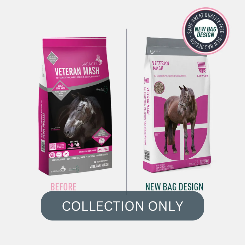 SARACEN Veteran Mash 2.png