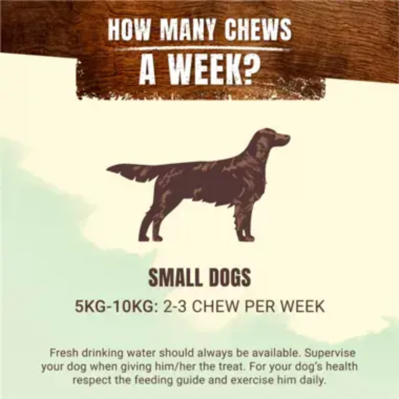 Adventuros wild chew small ... adv.png