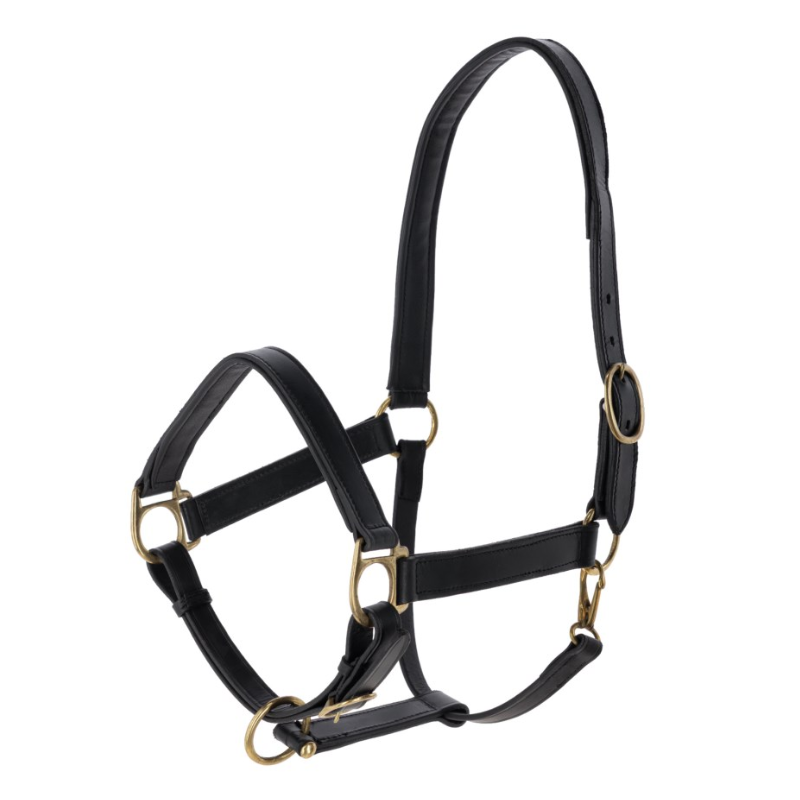 Covalliero Leather Headcollar.png