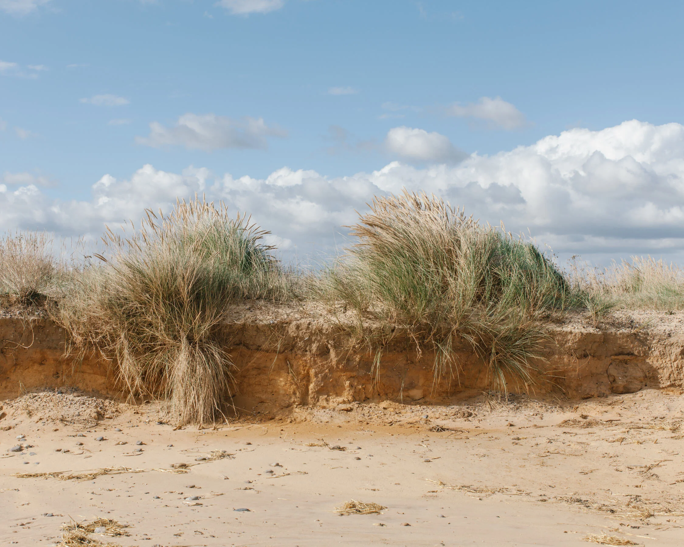 A mere 450,000 years ago the land groaned under an ice sheet perhaps half a mile thick. Each period has left a temporary legacy in the rocks of Suffolk: a wealth of sands, gravels, silts, clays and limestones.