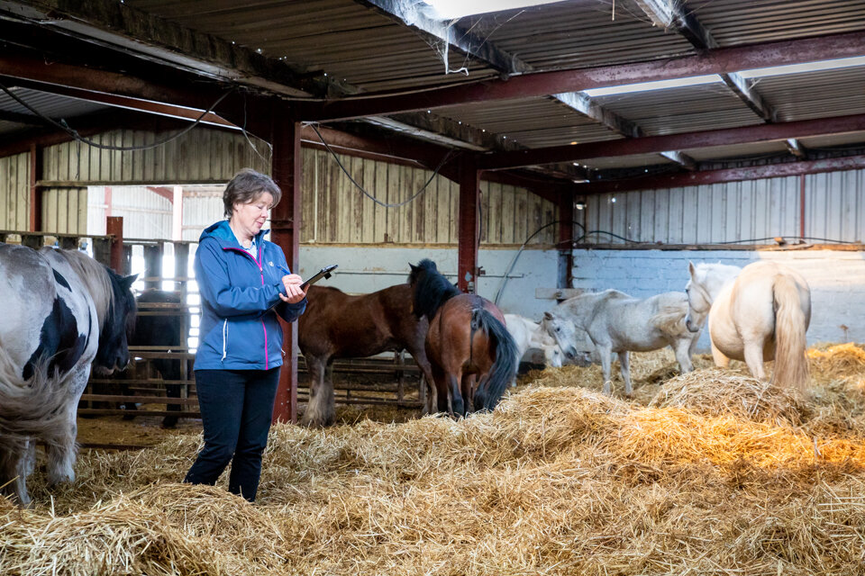 Dr Orla Doherty Animal Behaviour Clinic