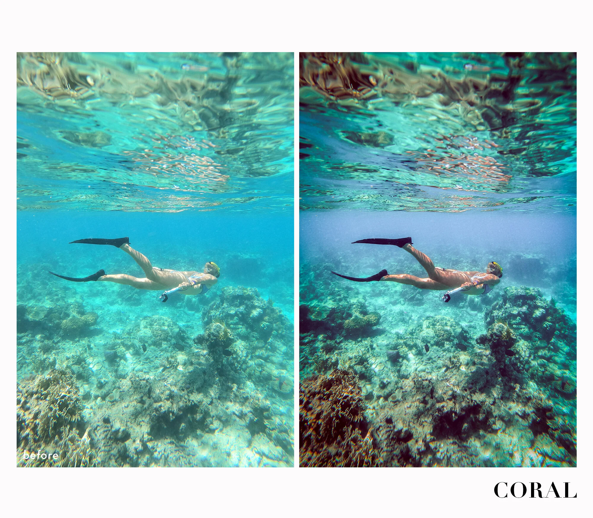 Coral_beforeafter.jpg