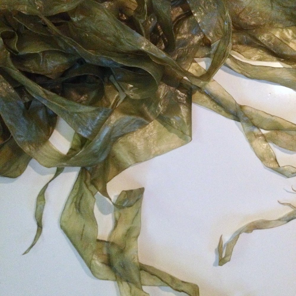 seaweed-sample_7.jpeg