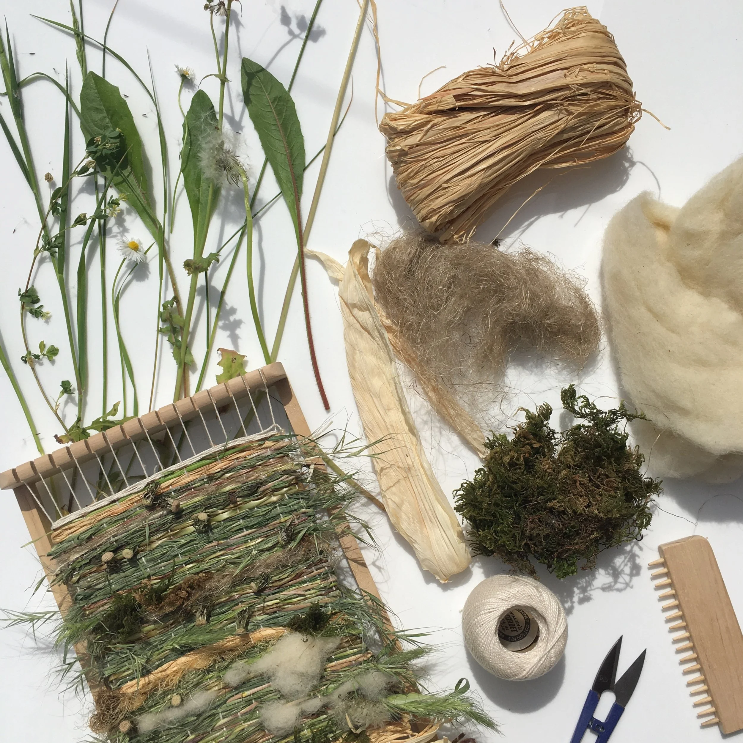 Foraging + Giant Nature Weaving Workshop.