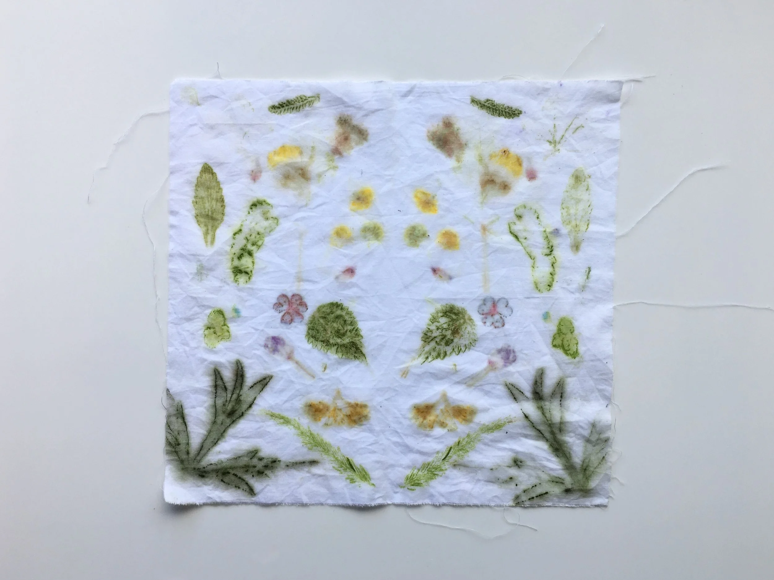 Nature Connection: What is hapa zome? — Steele. | Stephanie Steele ...