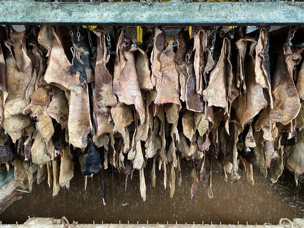 blog_leather-salted-hides.jpeg