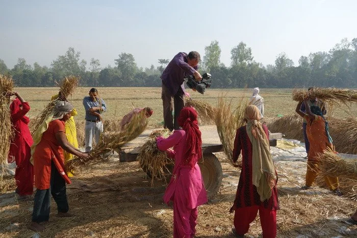 seed an untold story wheat threshing.jpeg