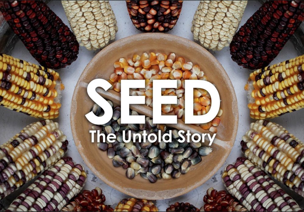 seed an untold story_title_2.jpg