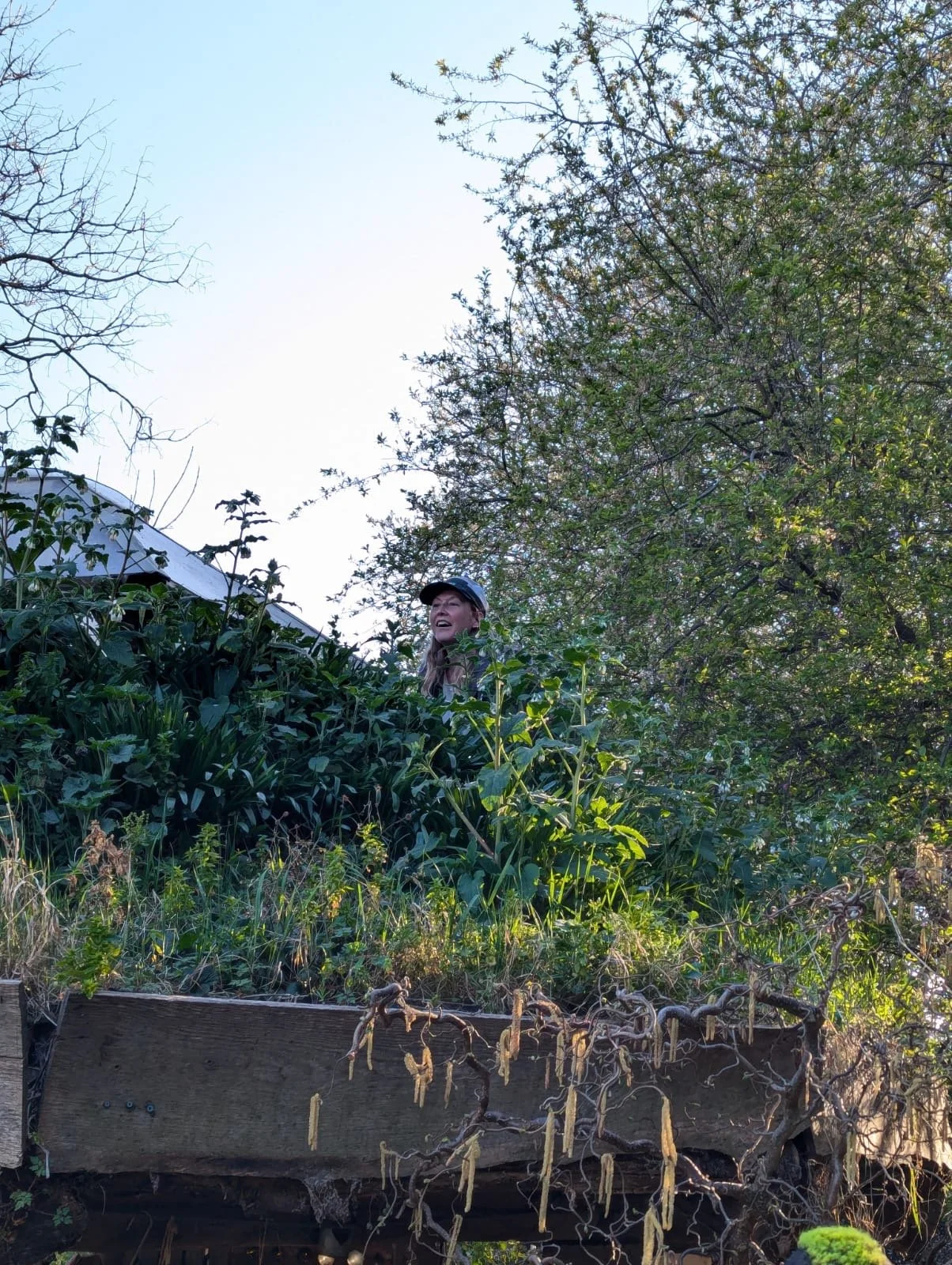 Month in the life of an urban gardener: March 2025.