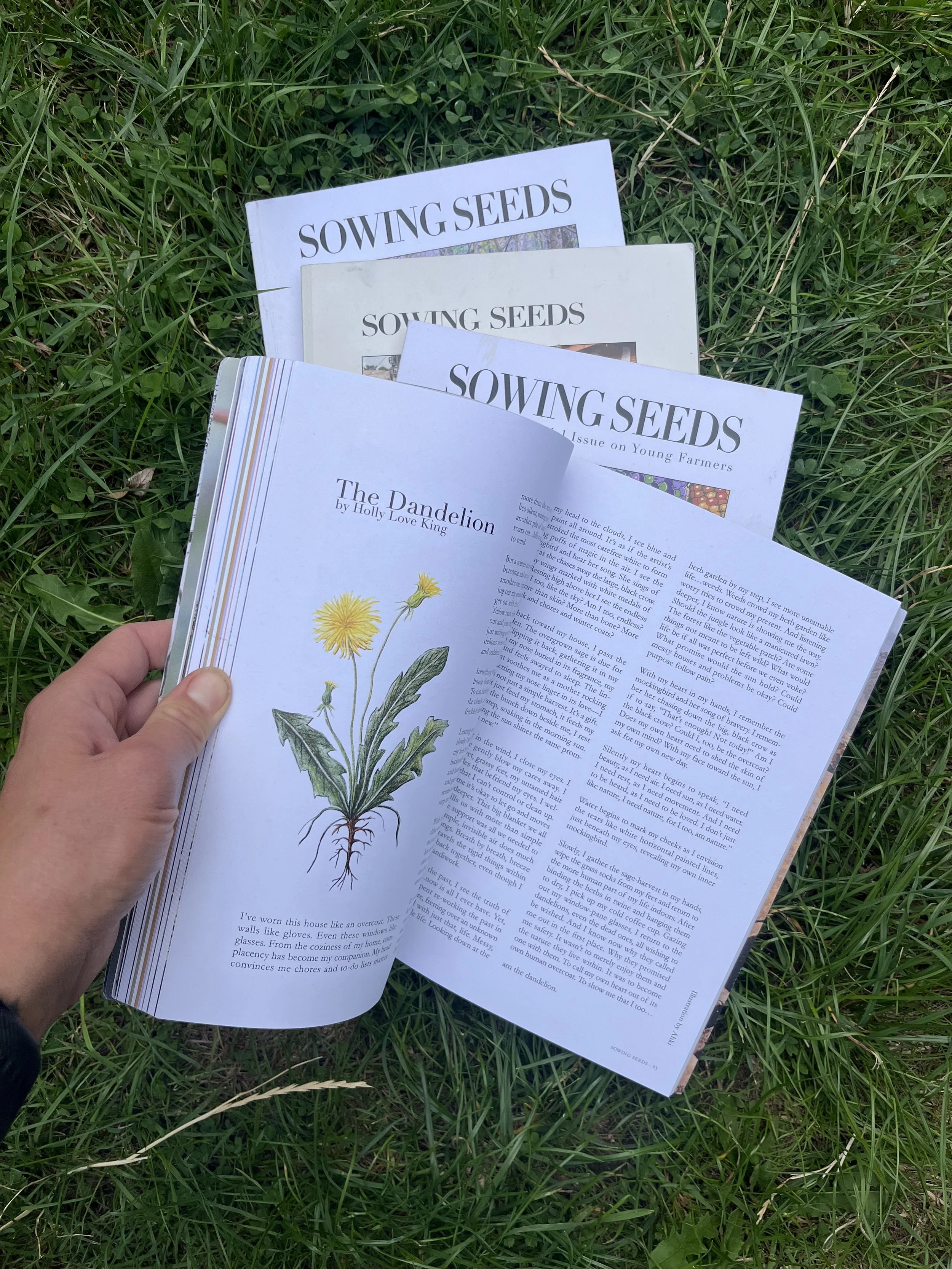 journal_sowing-seeds_3.JPG