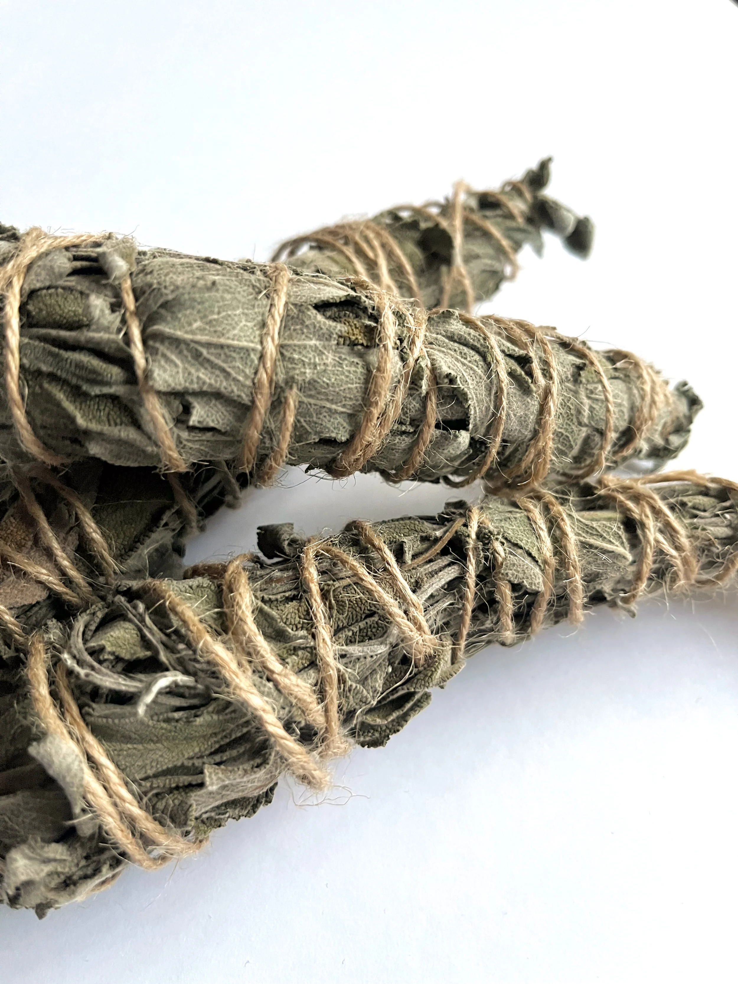 SSMISC-sage-smudge_3.jpeg