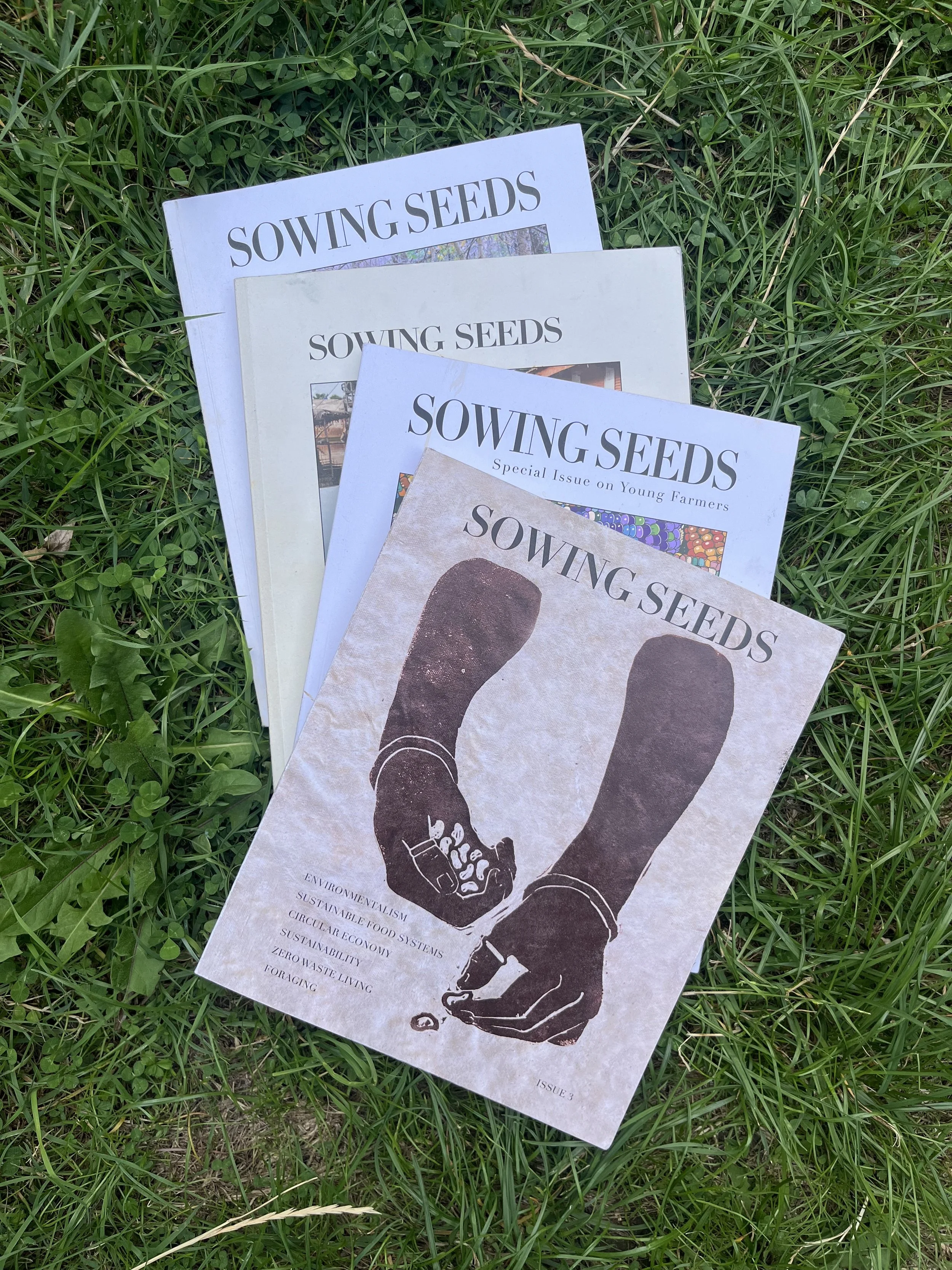 journal_sowing-seeds_1.JPG