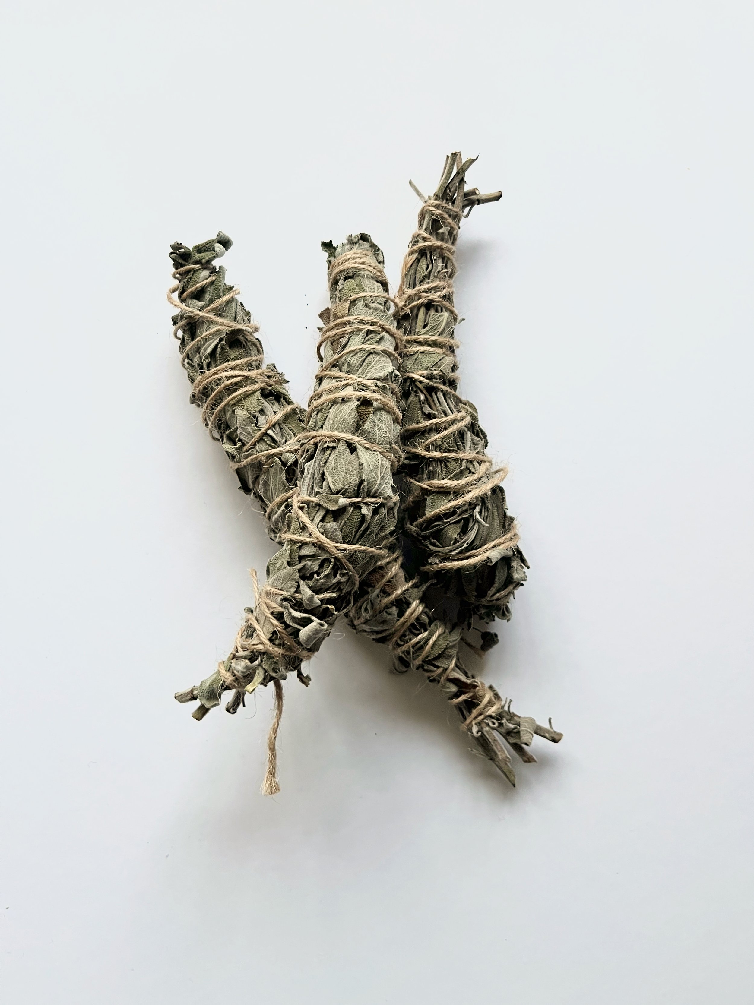 SSMISC-sage-smudge_1.jpeg
