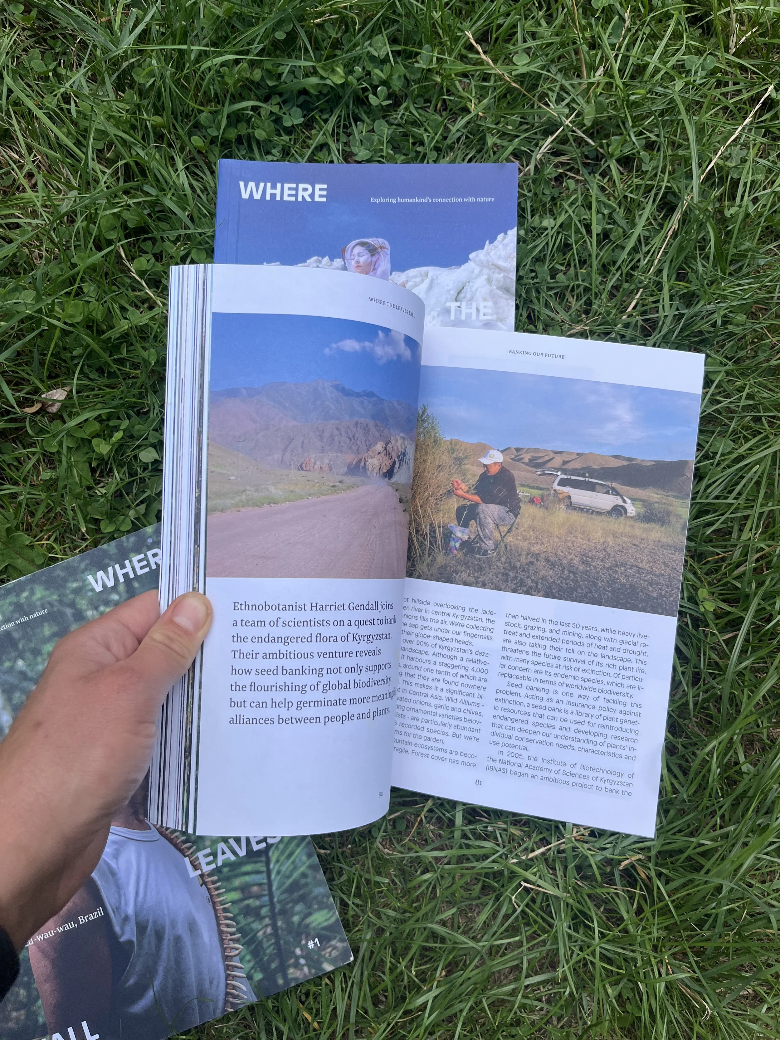 journal_wtlf_4.JPG