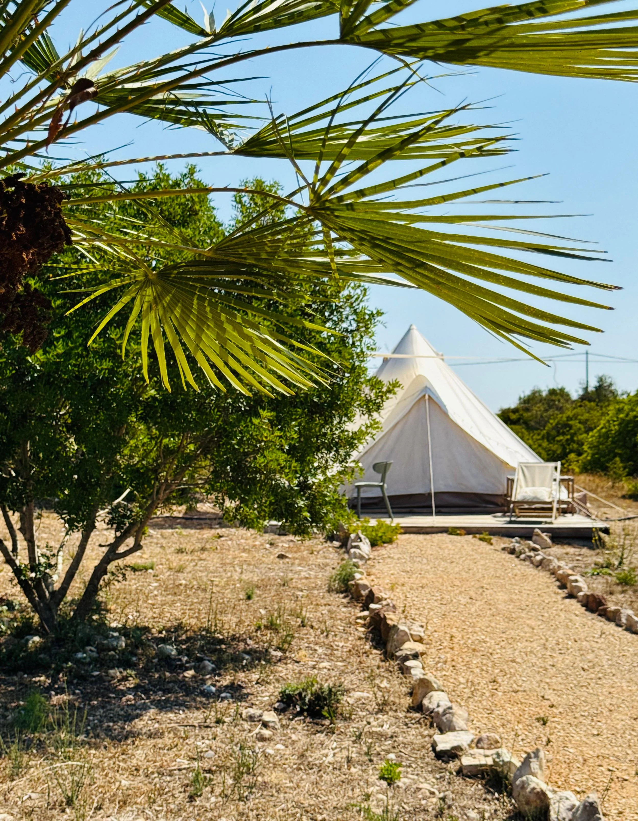 WhatsApp Image 2025-12-10 at 21.19.51.jpeg