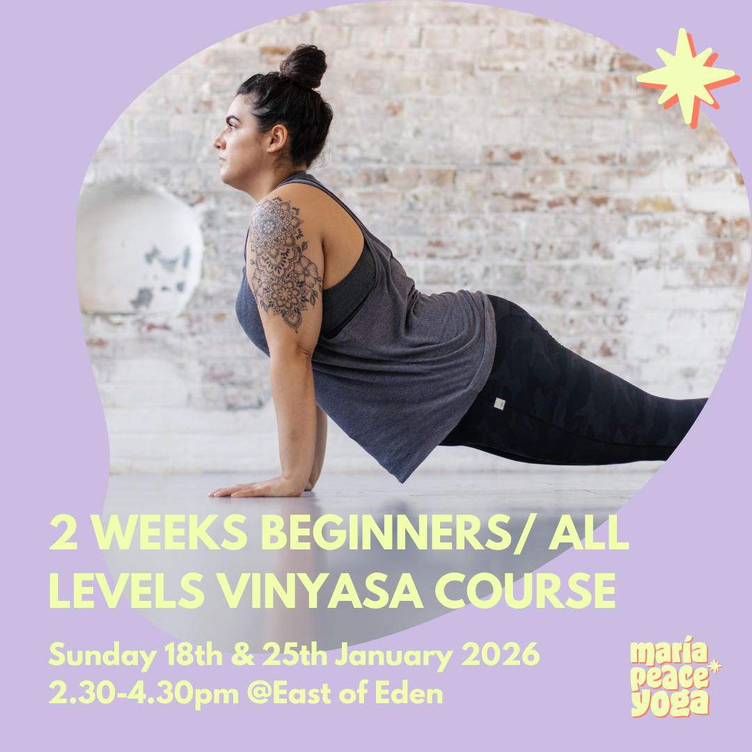 2 WEEKS BEGINNERS/ALL LEVELS VINYASA COURSE 