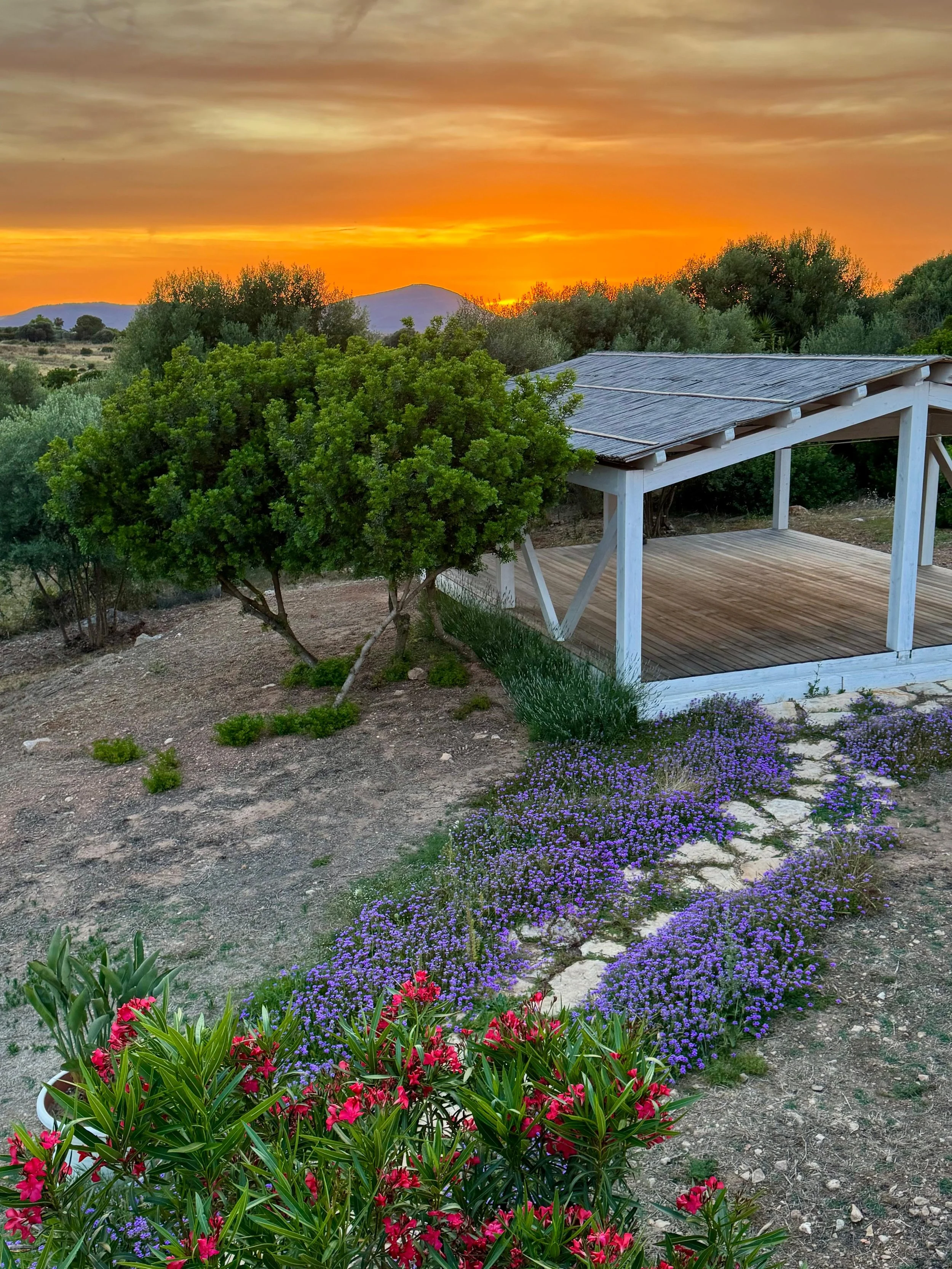 WhatsApp Image 2025-12-10 at 21.05.11.jpeg