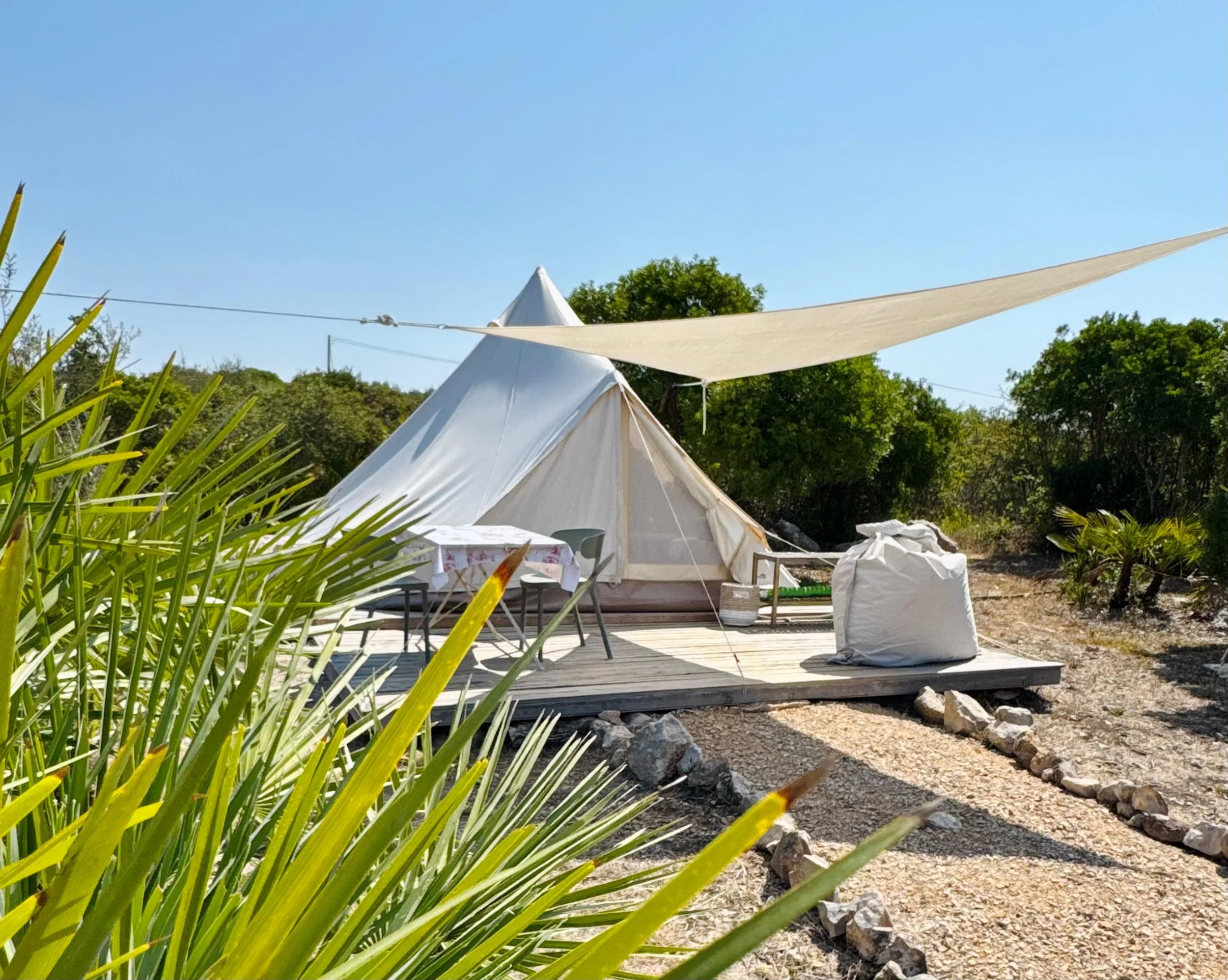 WhatsApp Image 2025-12-10 at 21.19.47.jpeg