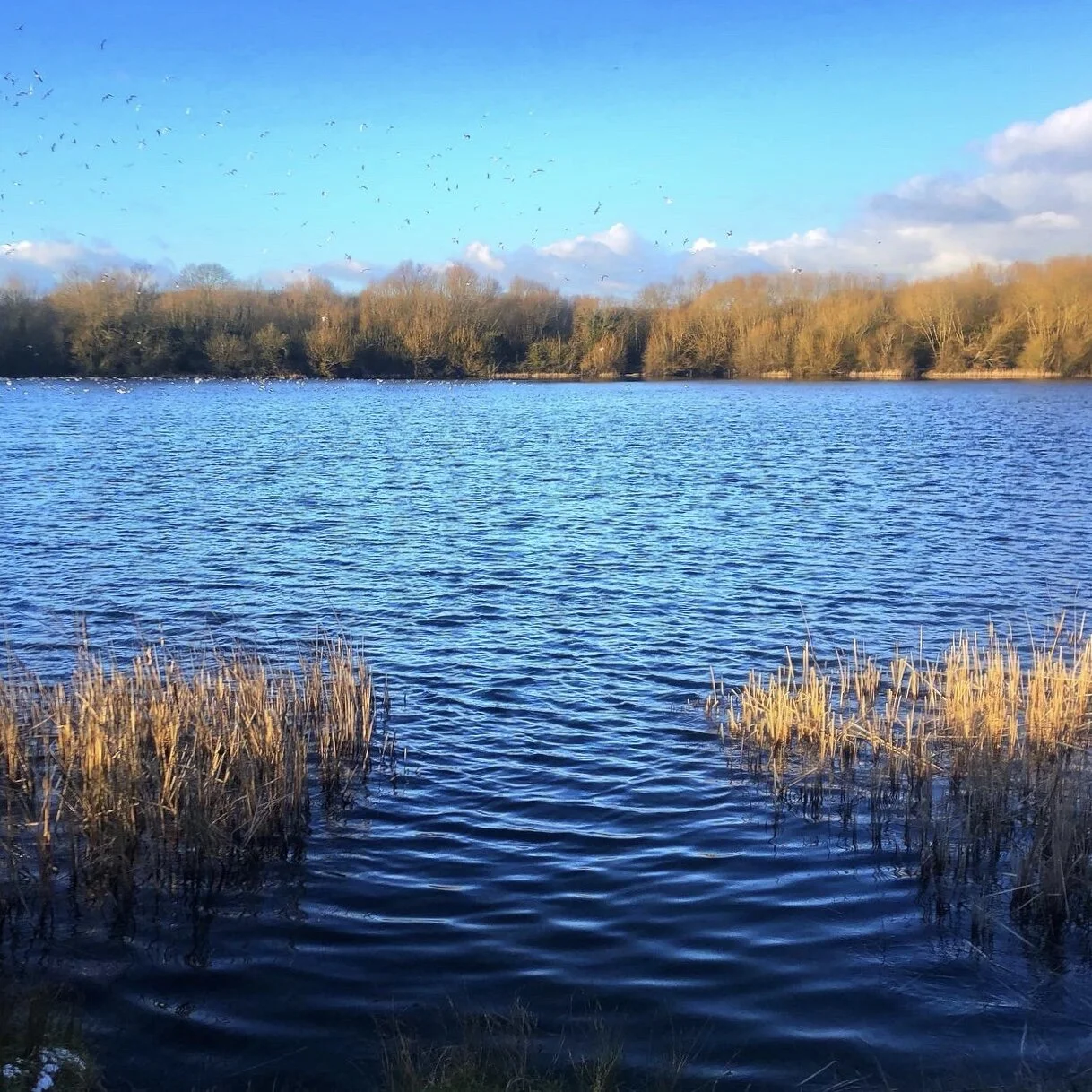 0F52D193-5EB2-46EB-A40F-B2FF8AE94C44 2.jpg