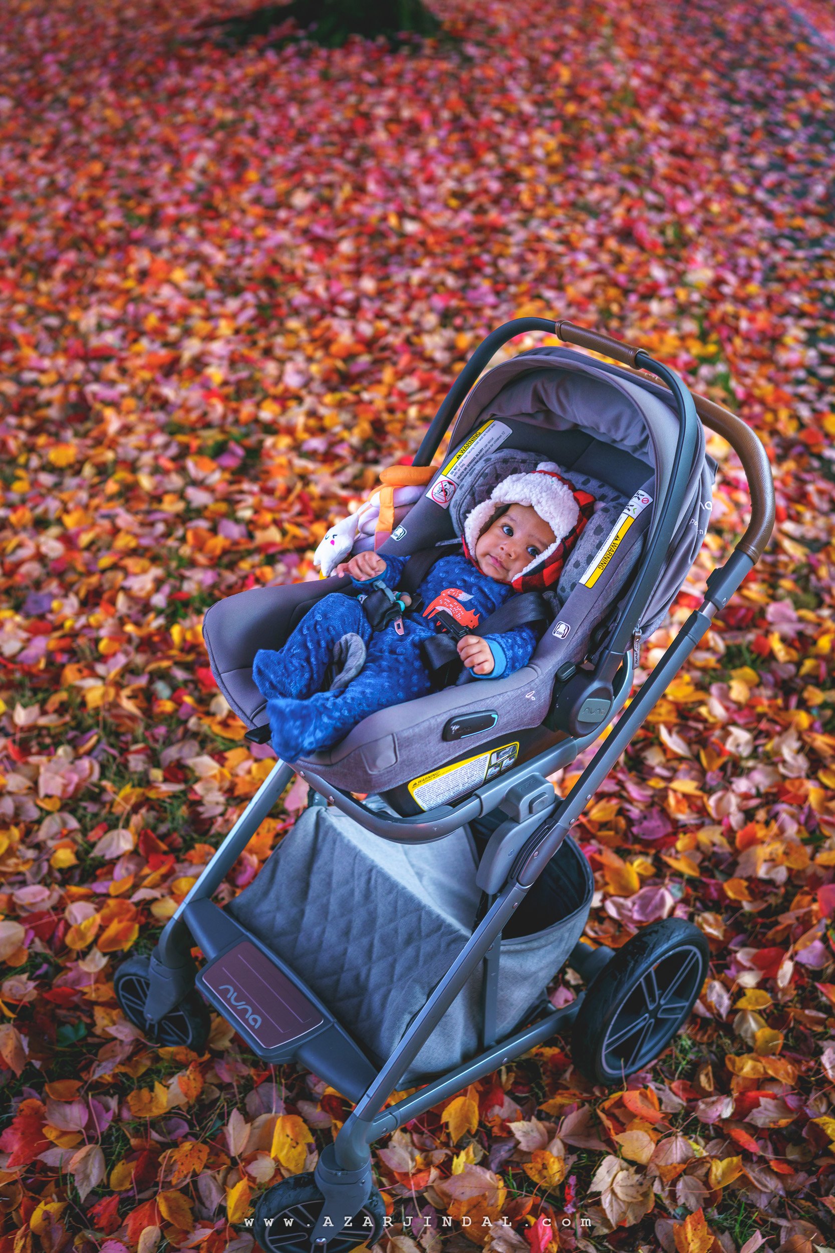 (0033.20221102)Fall2022.jpg