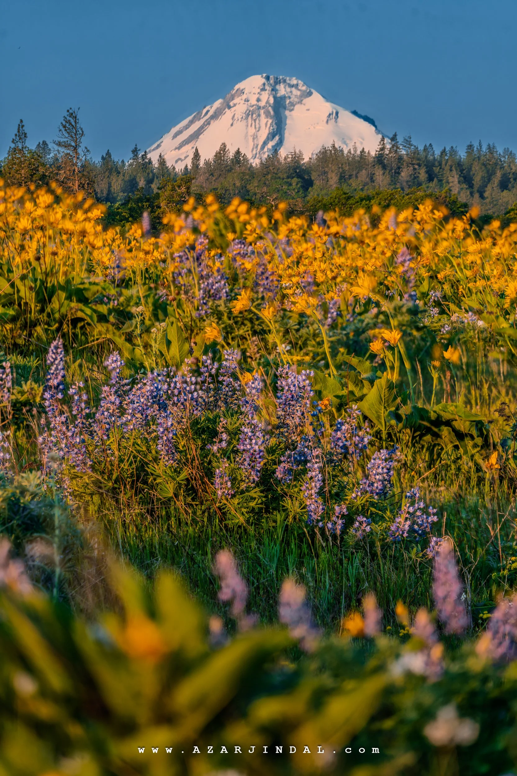 (20250504.0163) RoadTrip.jpg