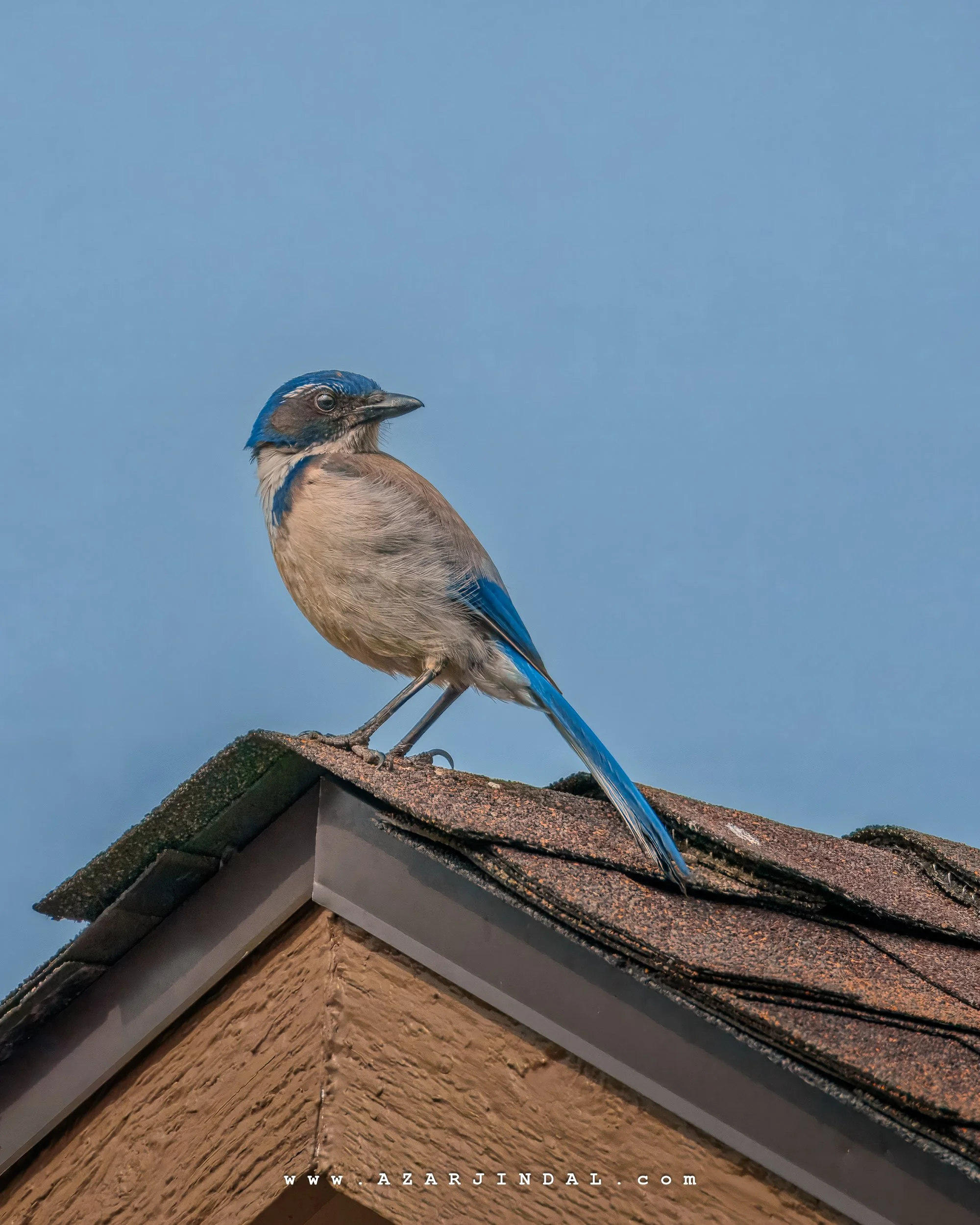 (20250508.0141) Birding.jpg