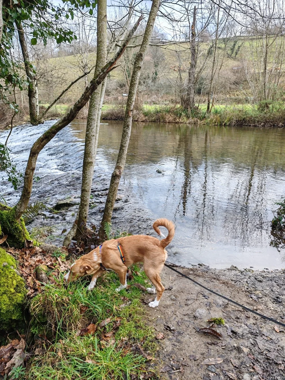 WhatsApp Image 2024-01-18 at 17.33.32 (3).jpeg