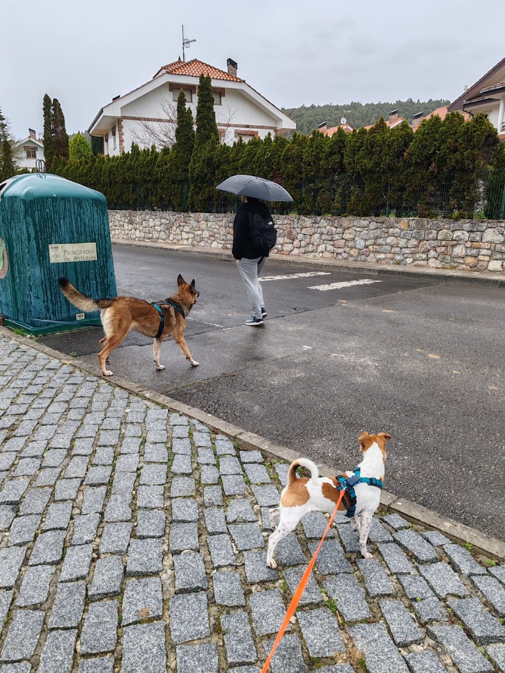 The person with the umbrella passes by