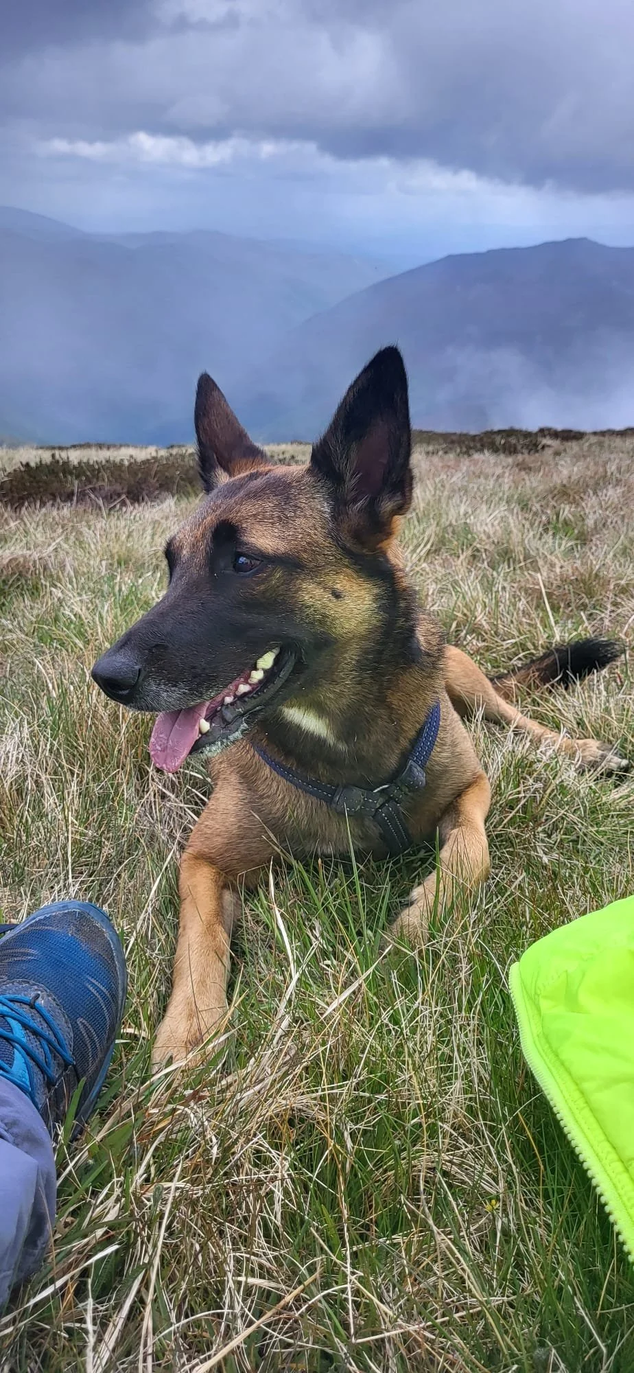 WhatsApp Image 2023-08-06 at 12.59.05 (2).jpeg